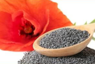 Nerve Soothe Ingredient5